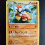 Hariyama 63/116. Carte du TCG Pokémon issue de la série Glaciation Plasma du bloc Noir et Blanc (NB09), parue le 14/08/2013. Carte Pokémon Niveau 1 de type Combat, évolution de Makuhita, Rare. Illustrateur: Kouki Saitou. L'illustration représente une créature humanoïde adoptant une pose martiale tel un pratiquant d'arts martiaux traditionnels dans une paysage de montagne parsemé d'éclats de glace.