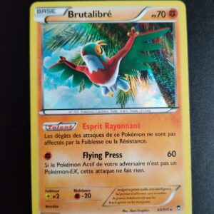 Brutalibré (holo) 63/111. Carte du TCG Pokémon issue de la série Poings Furieux du bloc XY (XY03, XY: Poings Furieux), parue le 23/08/2014. Carte Pokémon de Base de type Combat, Rare. Illustrateur: 5ban Graphics. L'illustration représente un volatile sous un cocotier en train de chuter vers le spectateur avec l'air et les couleur d'un catcheur mexicain.