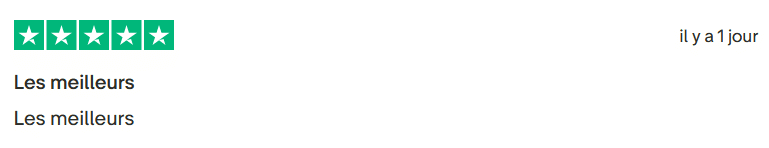 Avis Client Trustpilot 102. Il s'agit d'une image dans lesquelle se trouve un avis laissé par un client via trustpilot. Il y a cinq étoiles vertes soit la note maximale. L'avis date du 29 janvier 2026. Le client a écrit :"Les meilleurs "